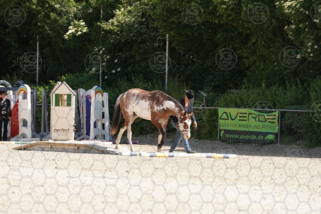 sA9K07780.JPG